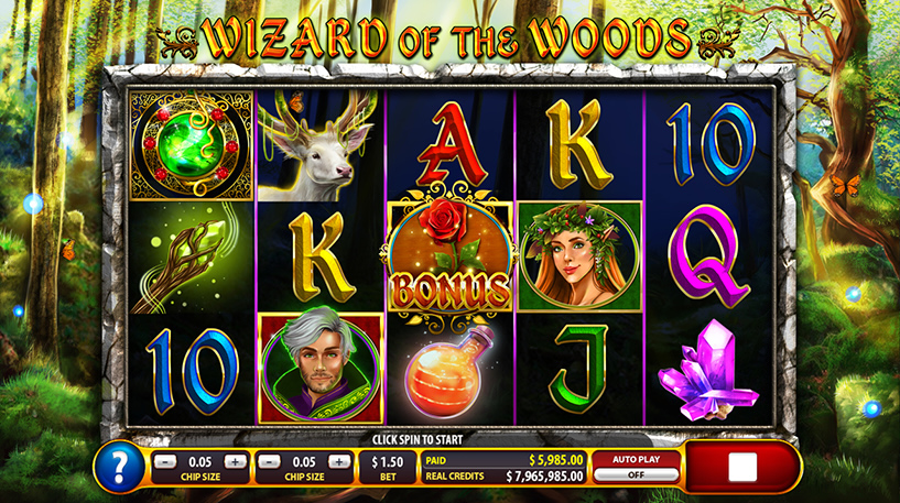     Wizard of the Woods   1x2 Gaming  Irwin asino